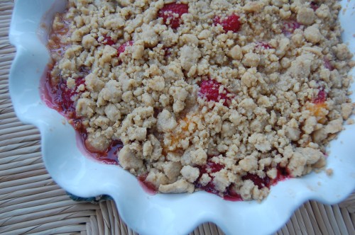 Fruit Crumble 101