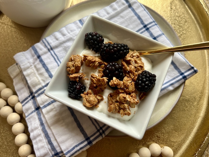 peanut butter granola sprinkled on square bowl of yogurt with black berries